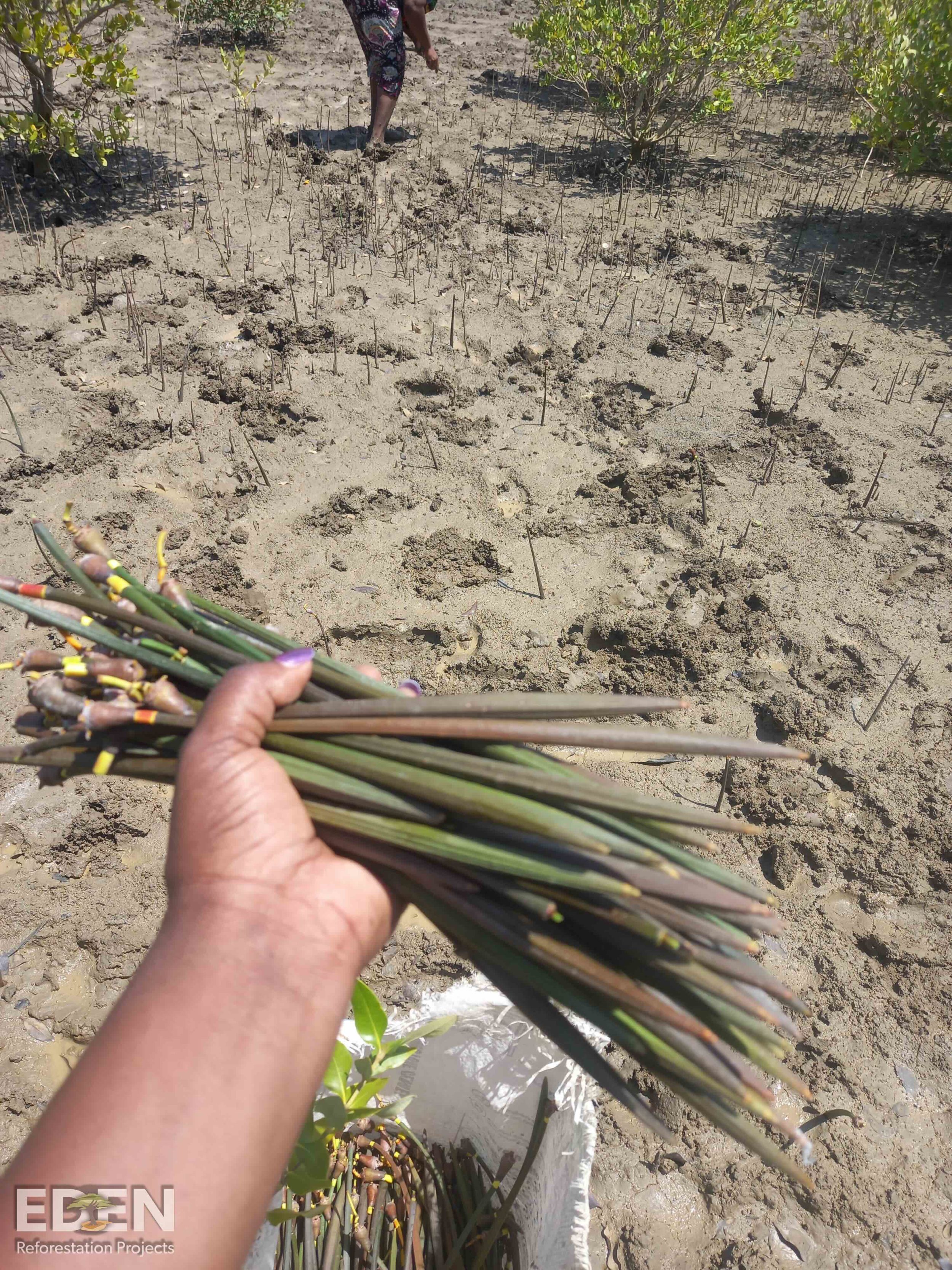 Collection of materials on the beach